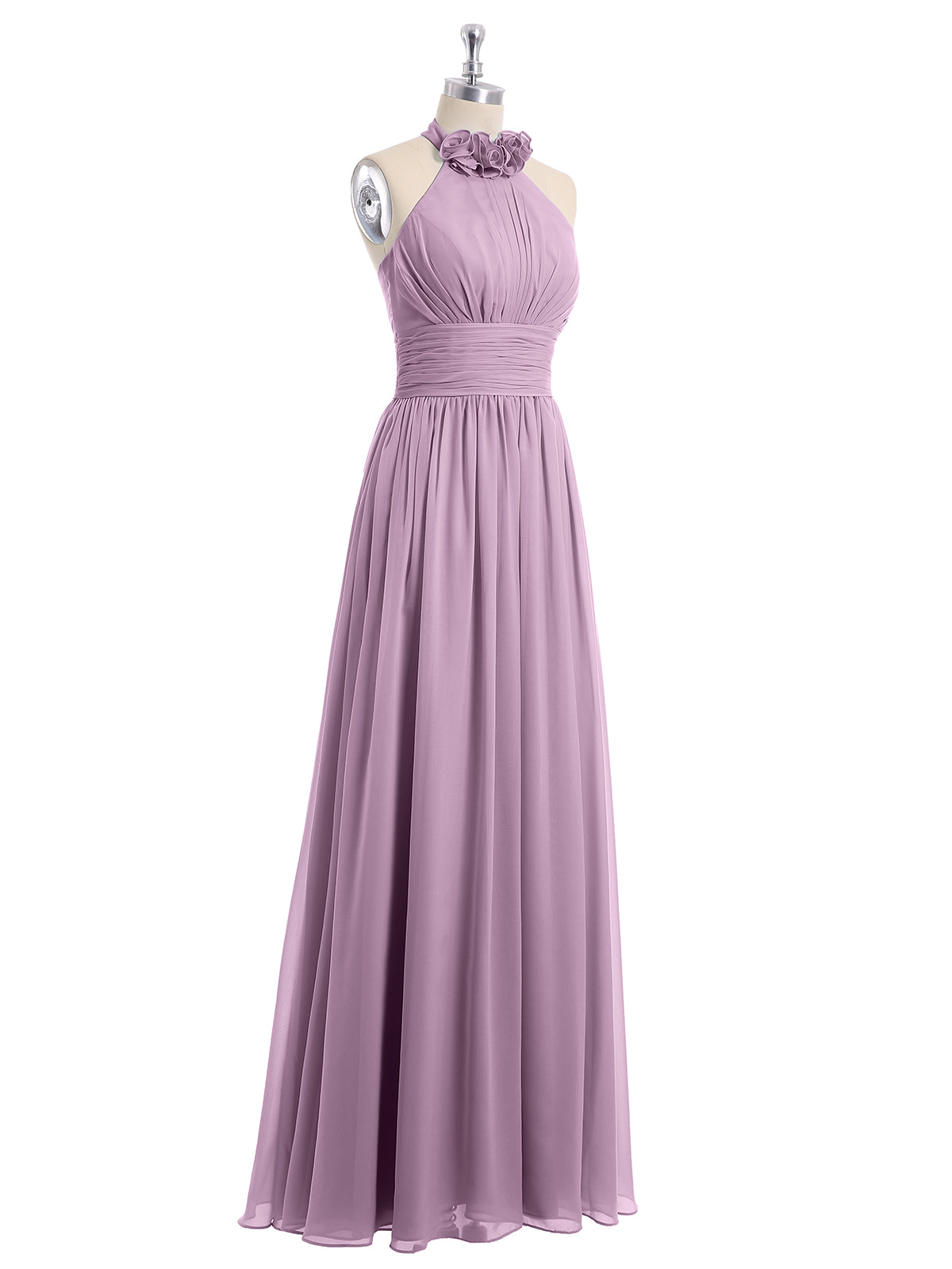 Wisteria