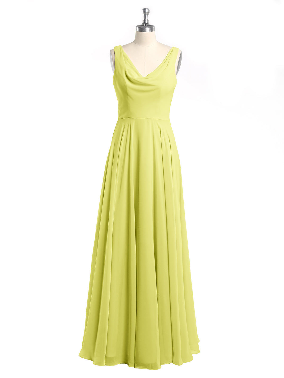 Daffodil