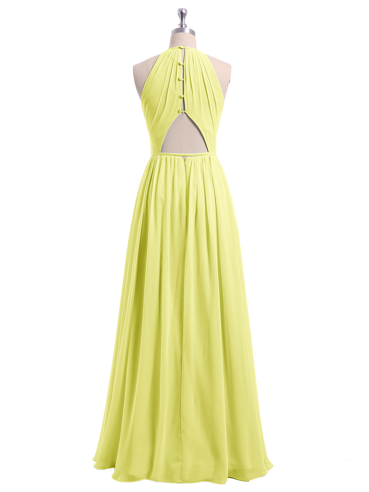 Daffodil