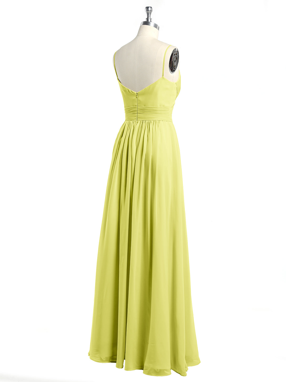 Daffodil