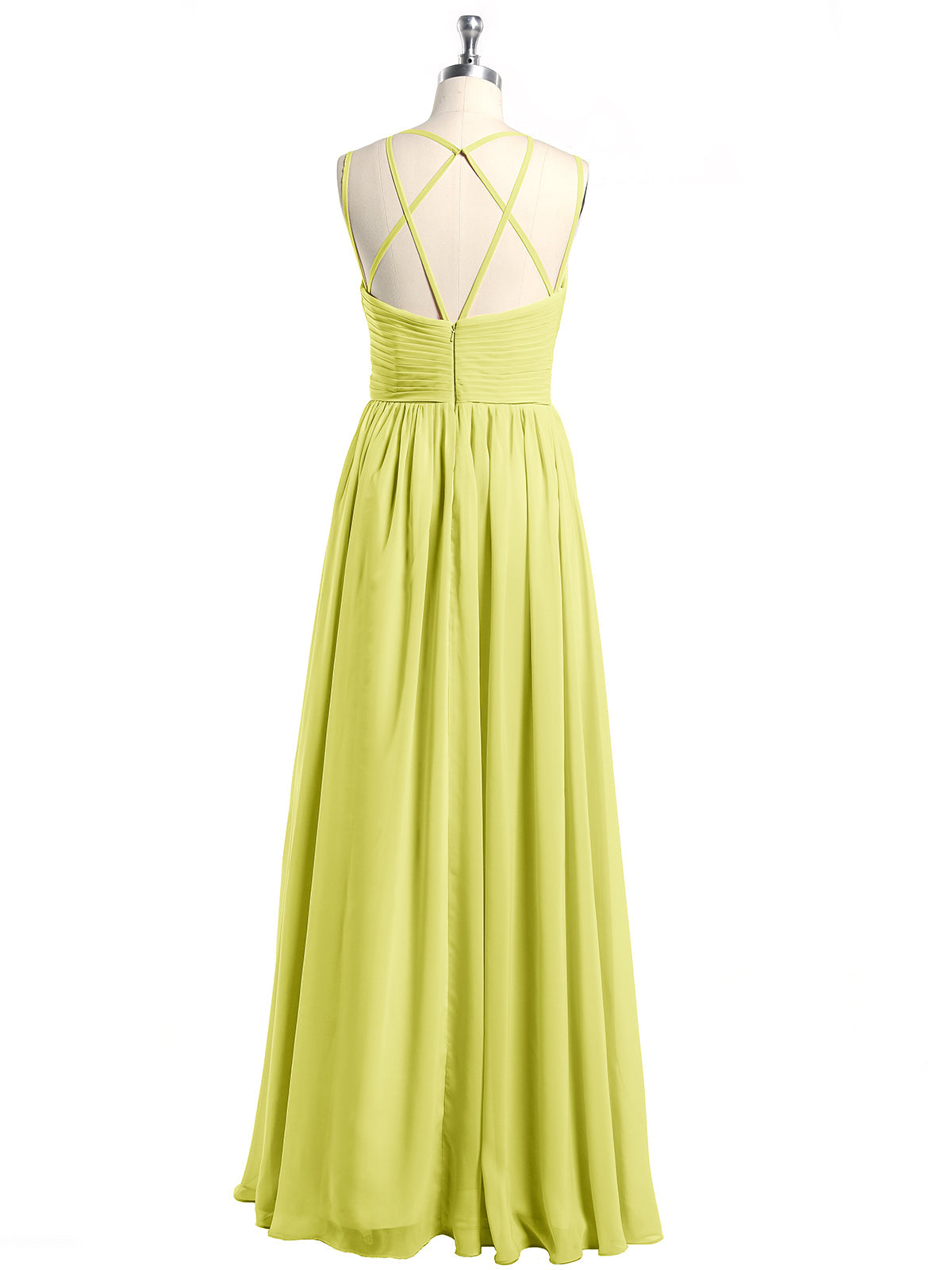 Daffodil