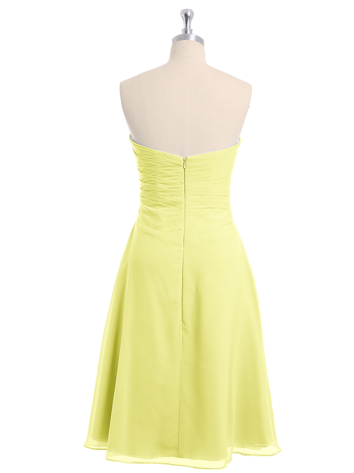 Daffodil