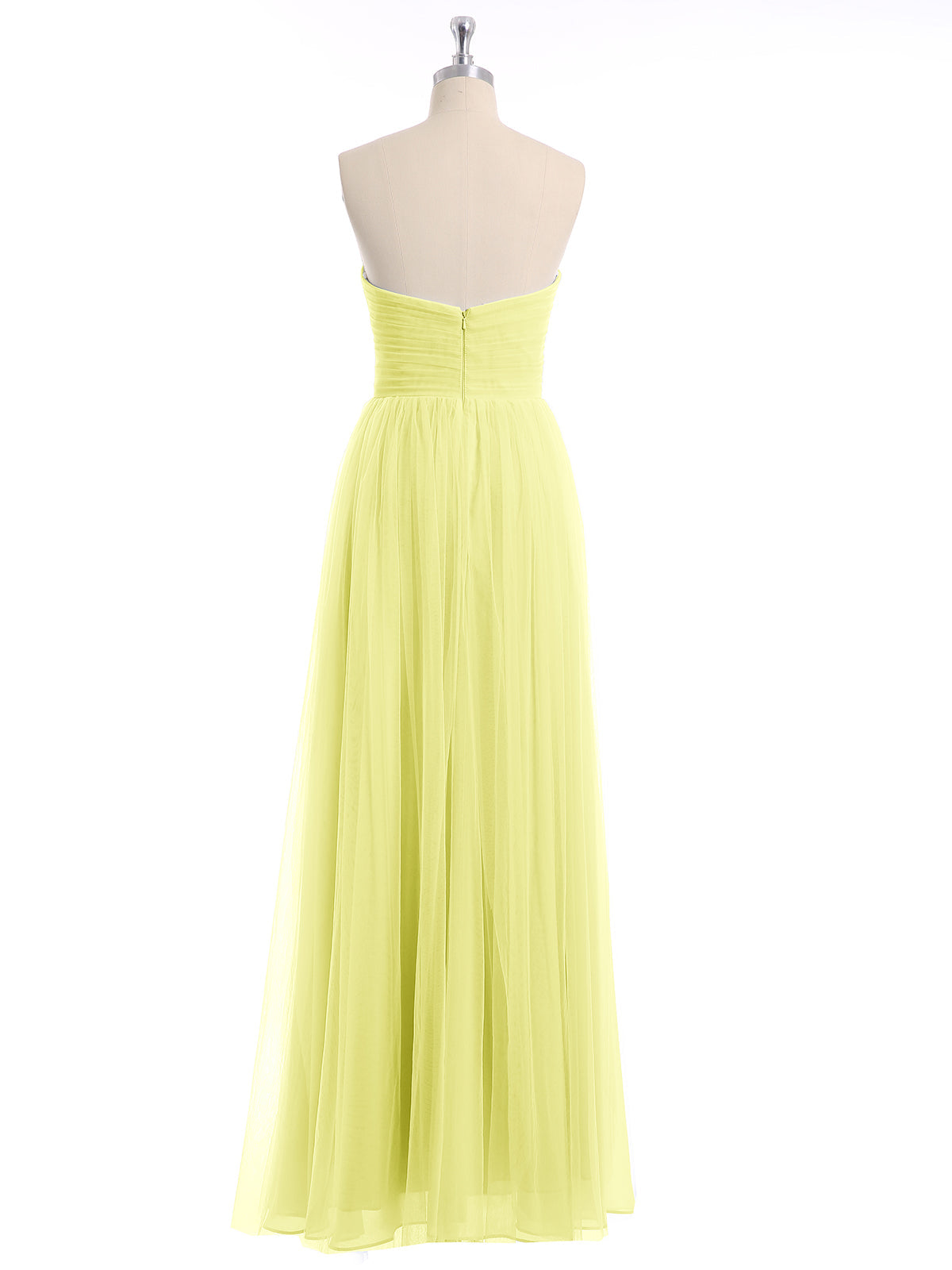 Daffodil