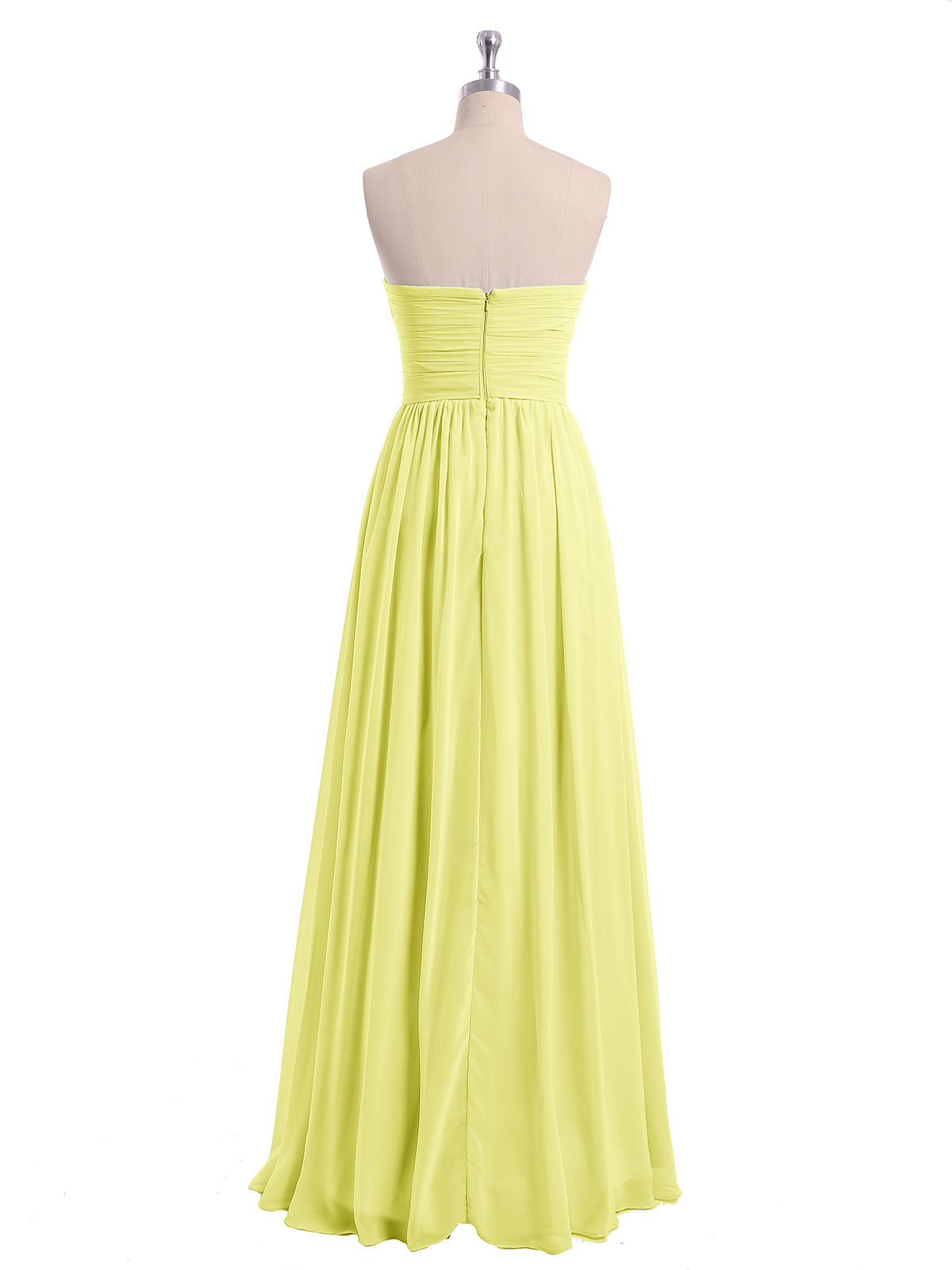 Daffodil