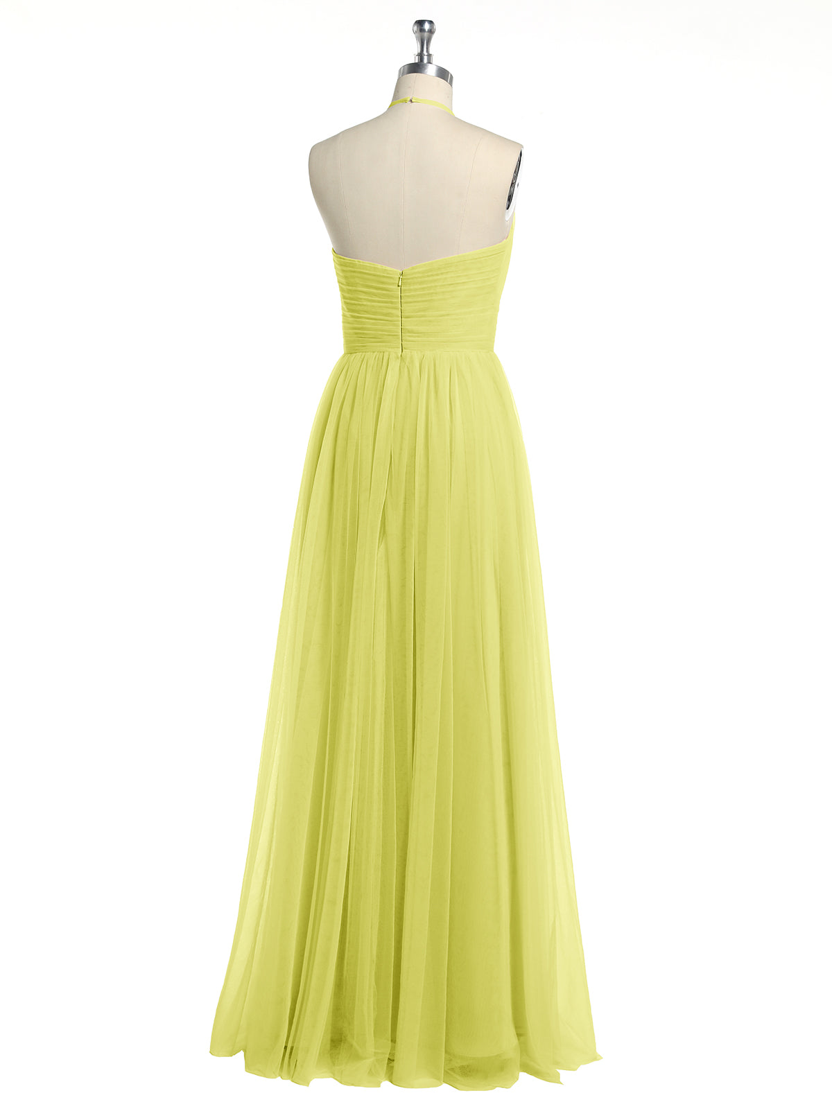 Daffodil
