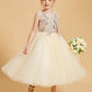 Vestidos Elegantes De NiñA De Las Flores Realzados Con Tul Y Detalles Apliques