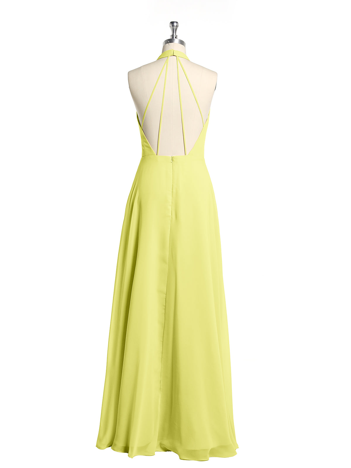 Daffodil