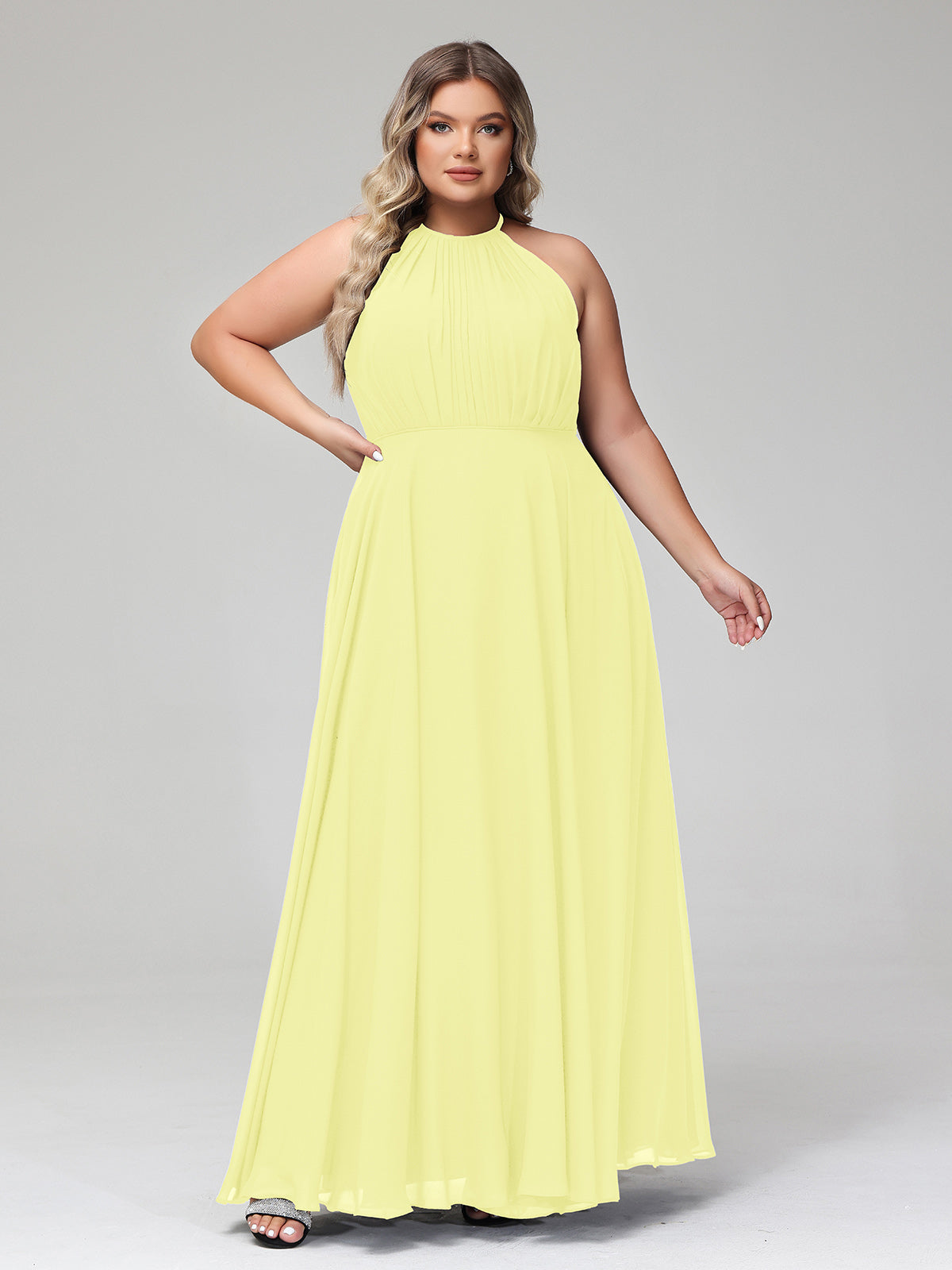 Daffodil