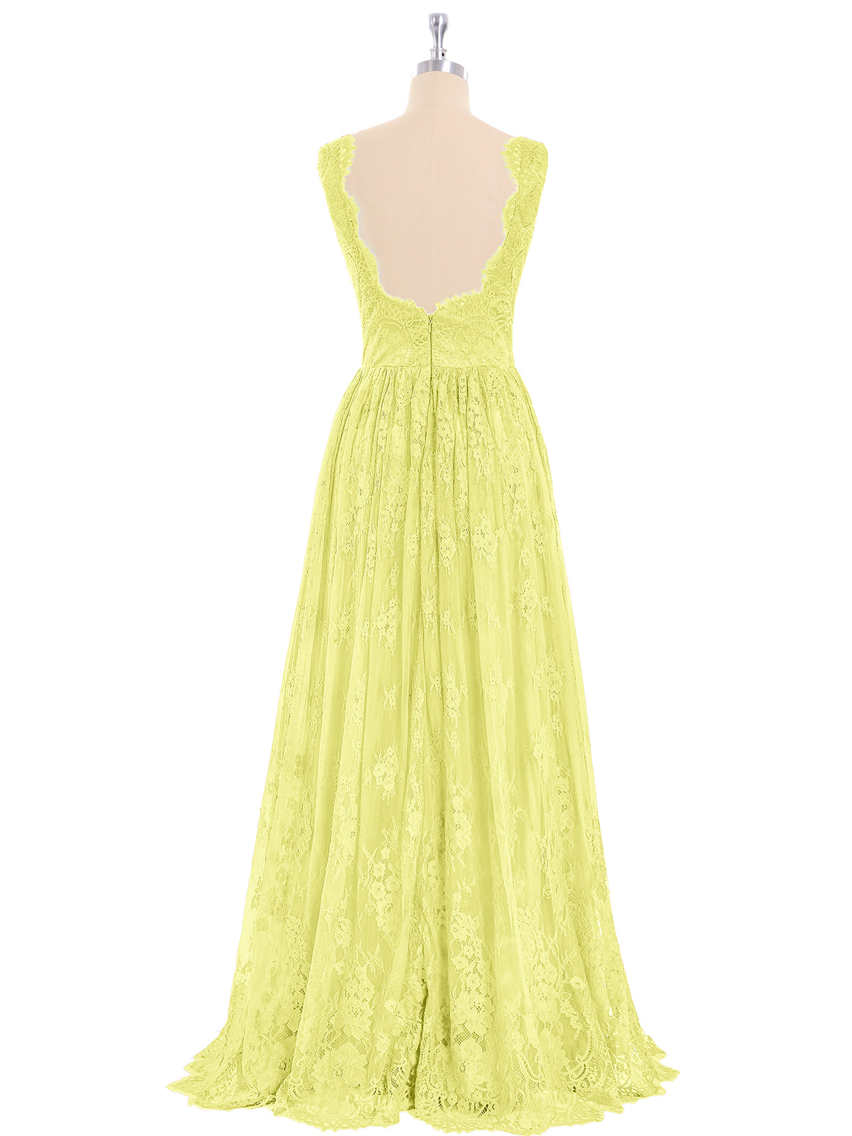 Daffodil