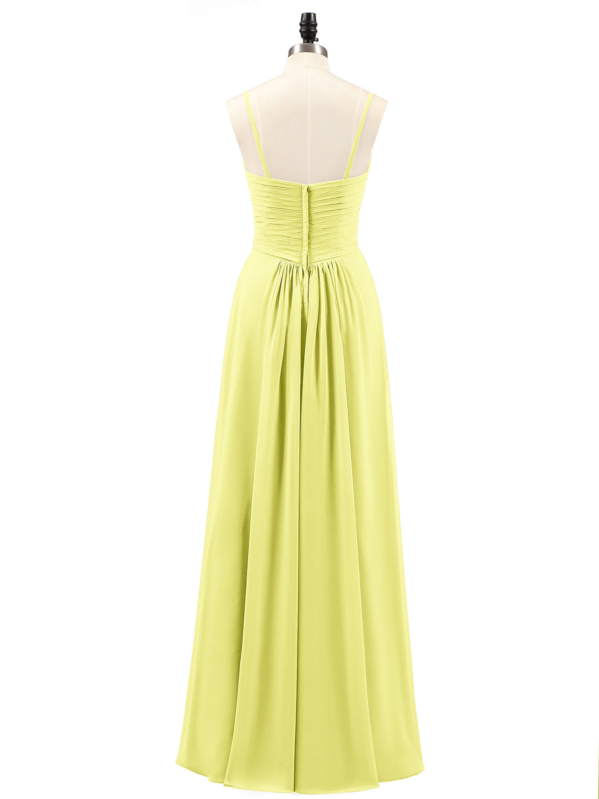 Daffodil