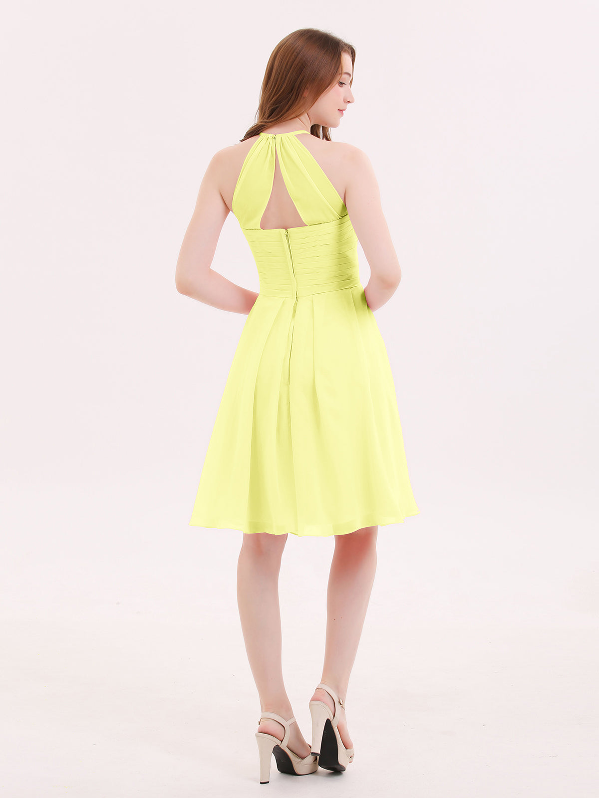 Daffodil