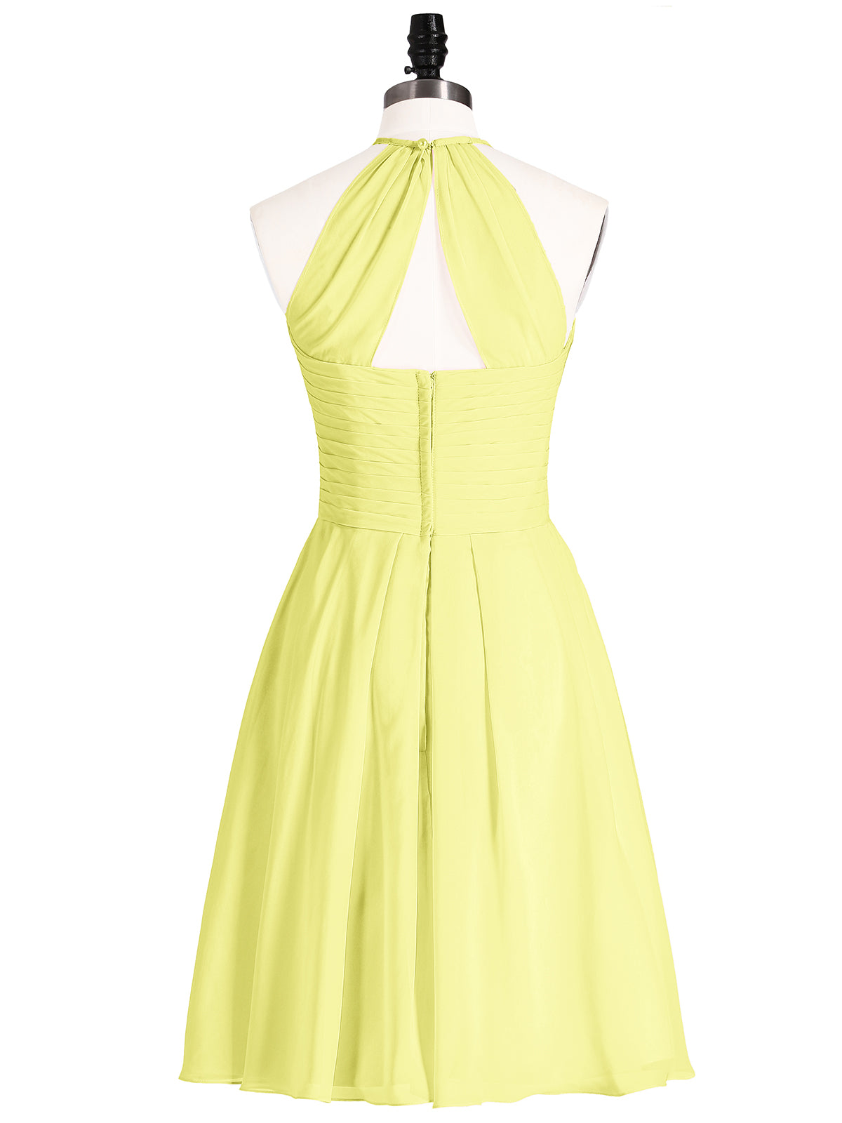 Daffodil