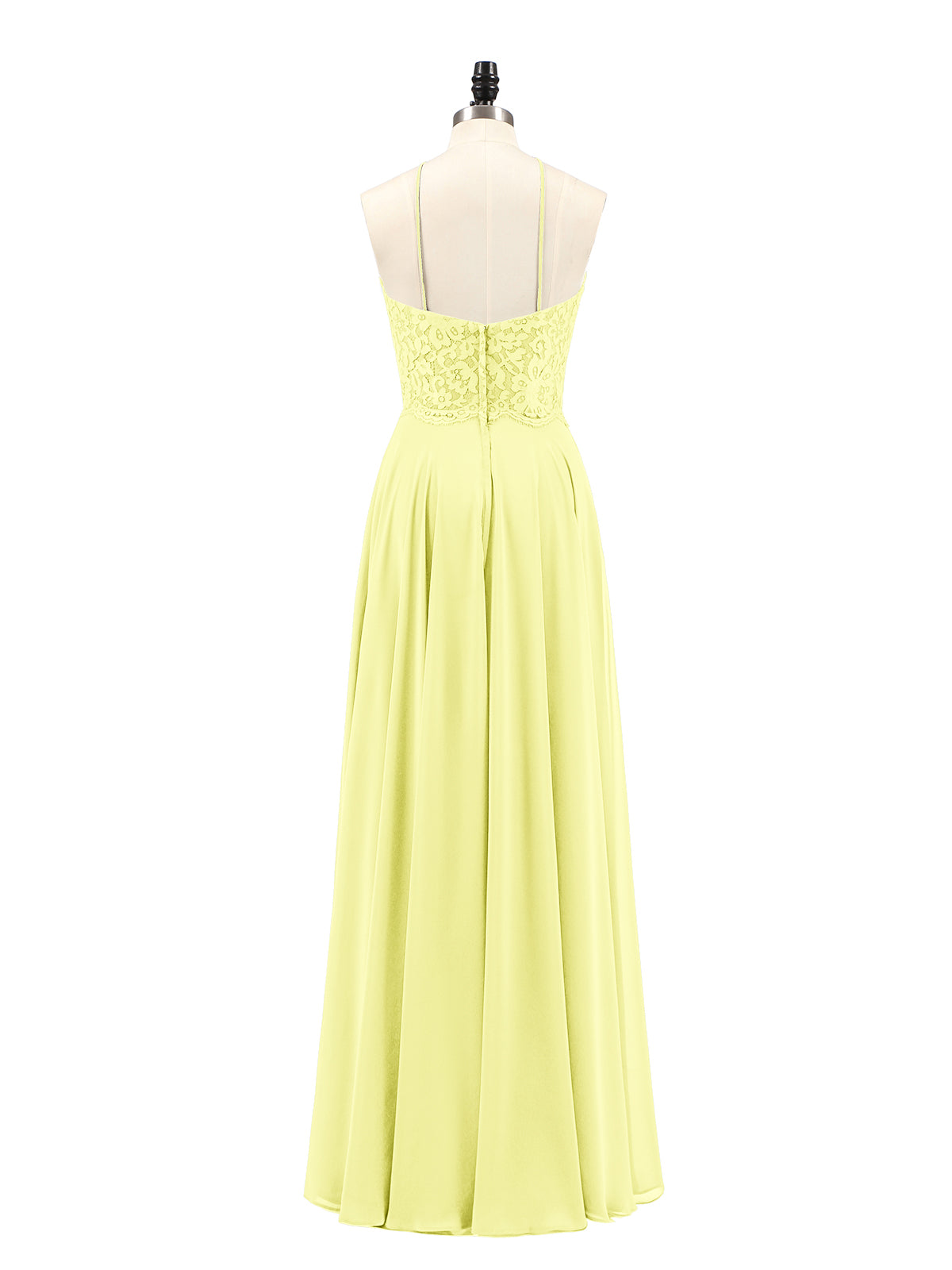 Daffodil