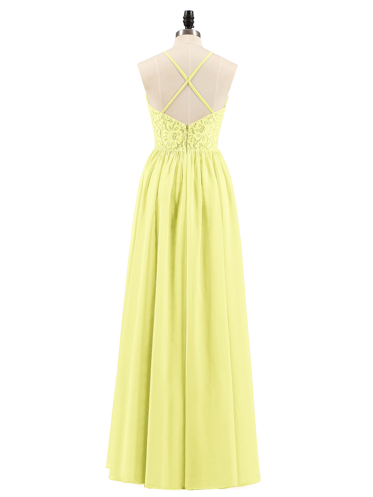 Daffodil
