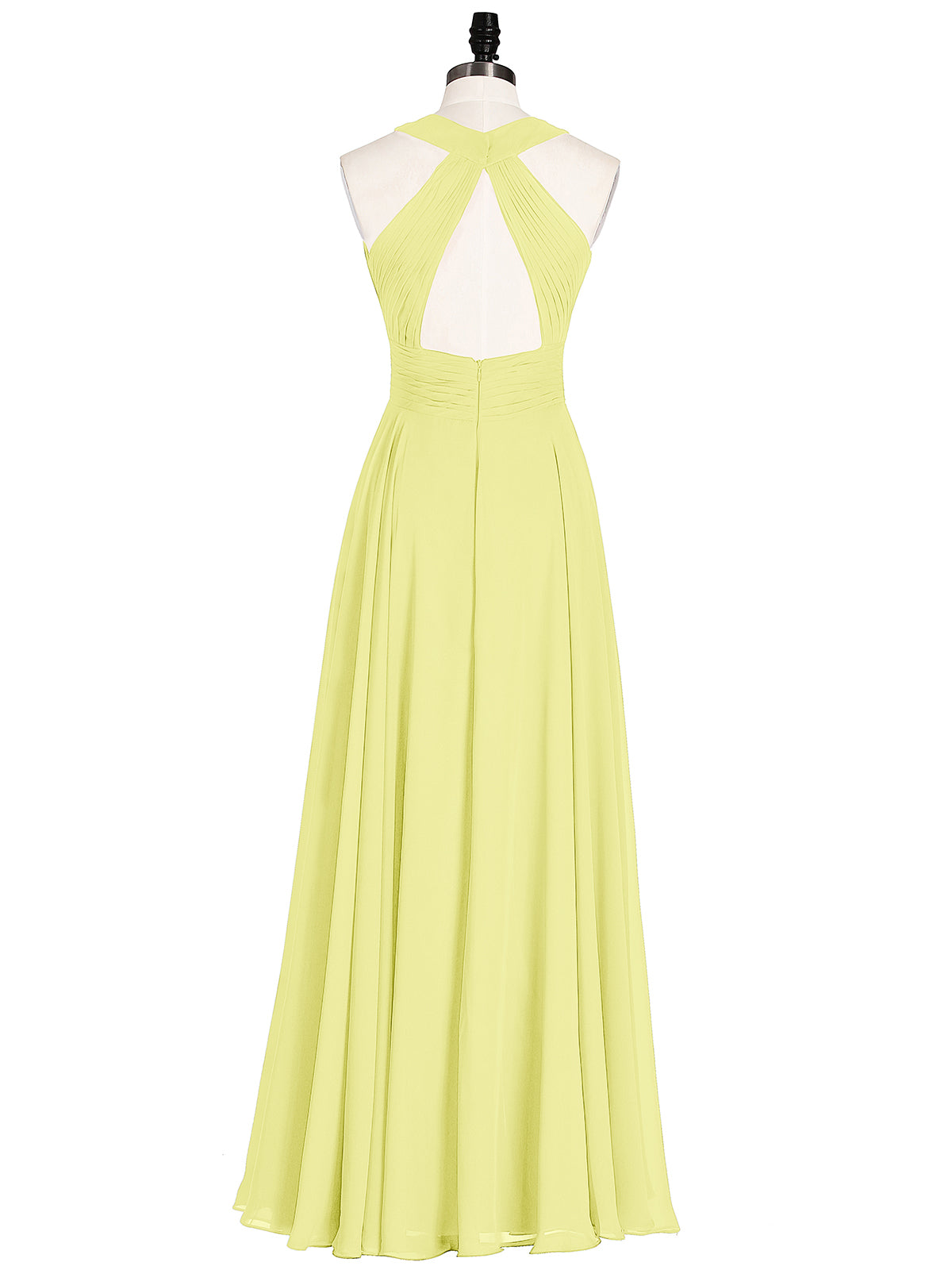 Daffodil